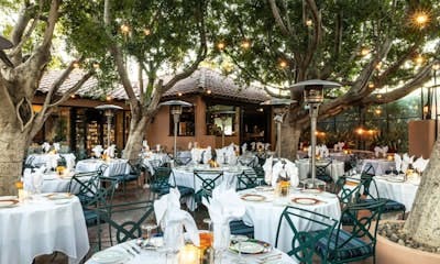 Elevate Your Evening: Upscale Dining Destinations in Palm Springs