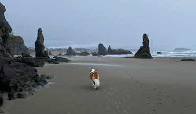 Best Hiking and Walking Trails in Bandon, Oregon