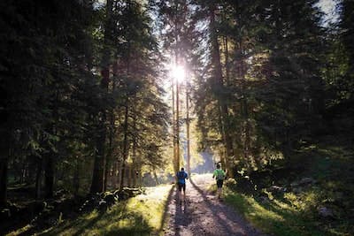 5 Must-Try Hiking Trails Near Wander Asheville Meadows