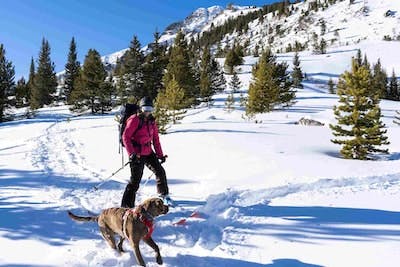 7 Must-Try Winter Activities in Vail, Colorado